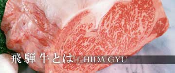 岐阜県産 飛騨牛