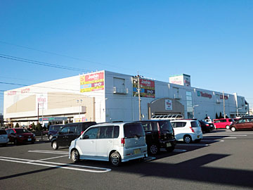 羽島店