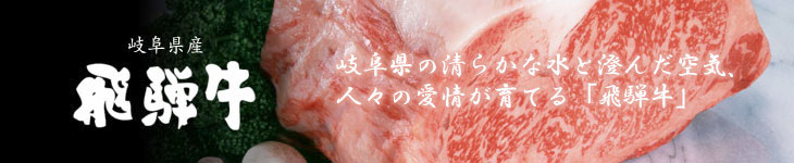 岐阜県産 飛騨牛
